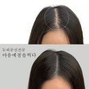 마음에 점을 찍다 이미지