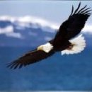 무명농장 이미지