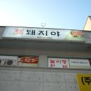 돼지야&닭 이미지