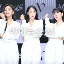 베리어스(various) 이미지