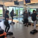 복싱그자체 이미지