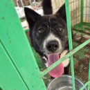 정읍시 신태인읍 화호 보건진료소 이미지