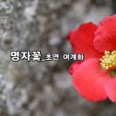 현대시선 밴드 5월의 선정시_명자꽃_초연 여계화_낭송 정설연_편집 윤기영 이미지