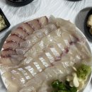 씨스페이스 대구칠성점 | 대구 북구 | 동대구회 노포감성 가득 횟집 대현동 맛집 가보니
