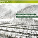 다해물산 이미지