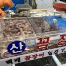 일진상회 이미지