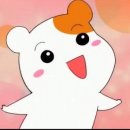 신갈마로-3 이미지