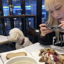 [평택 애견동반식당 추천] 안성 스타필드 근처 &#39;라플러쉬&#39; 브런치가게 내돈내산 후기