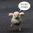 헤어짱미용실 | 플레하우스 웨딩촬영 후기 촬영소품 추천(이유미용실, 루이즈블랑, 허소영헤어메이크업) _최승범 대표님 짱