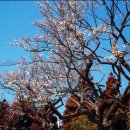 구조라로 2길 이미지