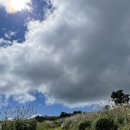 [합천 황매산] 부모님(어르신)과 함께 구경가기 좋은 갈대밭!
