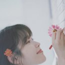 꽃갈피 이미지