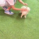 보용농장 | 청주 버드앤쥬 동물체험농장 아이들이랑 다녀온 후기