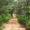 상시동1리 이미지