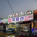 한잔해 야식포차 | 강원도 속초 야장 술집 맛집 유람선야식 내돈내산 추천 후기