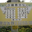 광성농원