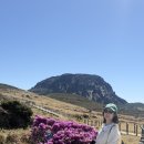 르노삼성자동차정비코너 | 3박 4일 제주 동쪽 여행 3일차, 윗세오름 영실코스/애월카페 평균이하/항파두리 항몽유적지/금능포구 일몰