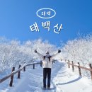 천제단 | 태백산 등산코스 초보자도 천제단까지 보고 온 후기