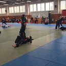 충효태권도호반