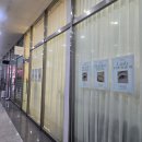 일상 ㅣ 몰아보기 (3/1~4/17)