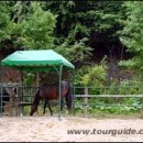 야산목장 이미지