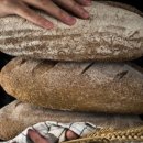 새희연지 이미지