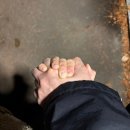 신탄진로738번길 | [24w-27w] 중기 끝 후기 시작-