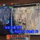 용화상사 이미지