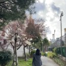 백년세탁소 | (파사드패턴) 파사드패턴 타임리스 맥시 스커트 블랙 내돈내산