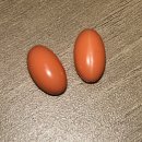 이전노모당 | 이소티논 부작용 탈모 원인과 회복 과정까지 솔직 후기