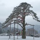 속리산동행