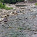 동막골 캠프텔 이미지