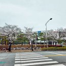 금호로 이미지