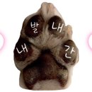 선수촌로 66 이미지