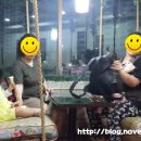 이삭토스트용현점