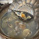 [ 서울 / 잠실 ] 동네 주민만 아는 잠실새내 조개찜 찐맛집 : 골목길 방문 후기