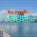 수영강변로 이미지