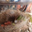 명도태권도체육관 이미지