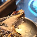 정금빌딩 | 방배동 카페골목 맛집 개미식당 점심 푸짐한 전복 솥밥, 연잎 솥밥 후기