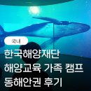 해양수산 과학원 ~ 어성교 | 2025 한국해양재단 해양캠프 해양교육 프로그램 동해안권 후기