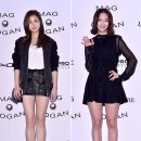 다솜 이미지