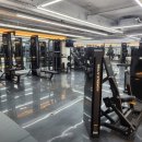 윌 휘트니스 이미지