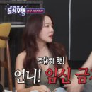 조항 이미지