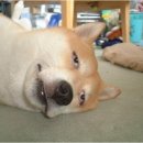 온더선셋하우스