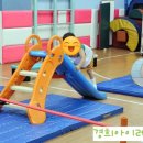 경희스포츠(유도) | 체육이 놀이가 되는 곳, 아이짐의 하루 성장발달에 딱