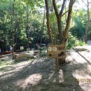 부산치유의숲 방문자센터 이미지