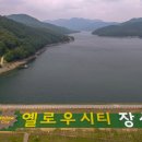 미락장어 이미지