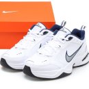 270-2506 | 나이키남성운동화 #나이키 #운동화 #2017 #런닝화 #849559