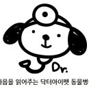 아이펫 동물병원 이미지