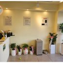 라이프독 강릉점 24시 강아지분양 고양이분양 이미지